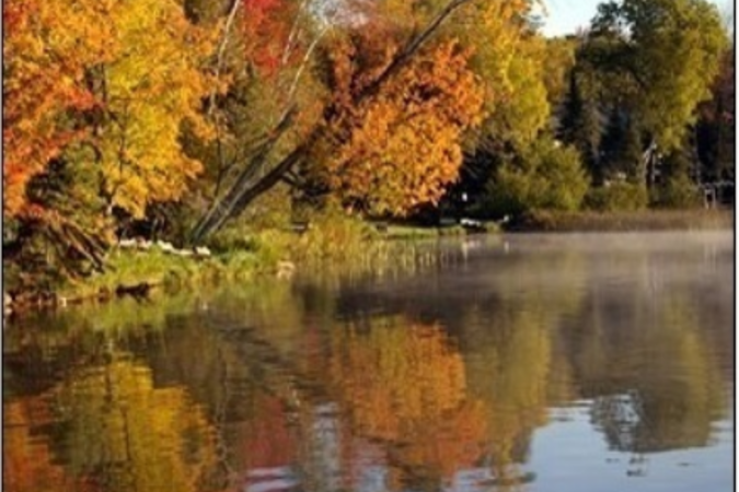 clear lake reflecting trees in autumn 